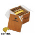 Charuto Cohiba robustos gramado e canela