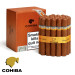 Charuto Cohiba siglo VI gramado e canela