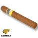 Charuto Cohiba siglo VI gramado e canela